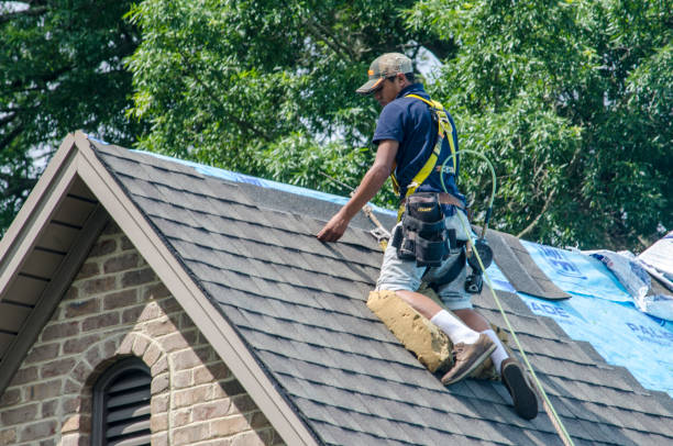 Roof Gutter Cleaning in Marvell, AR